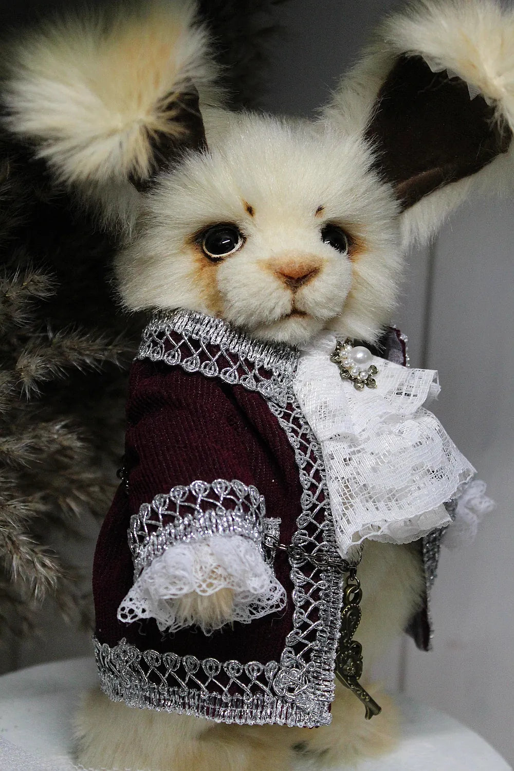 Robin 泰迪兔 - 图片1