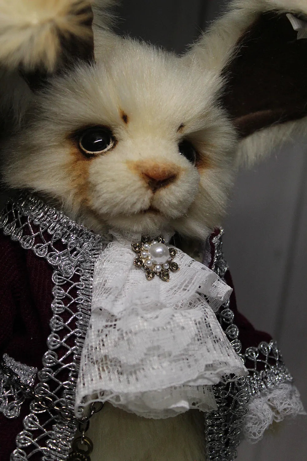 Robin 泰迪兔 - 图片7