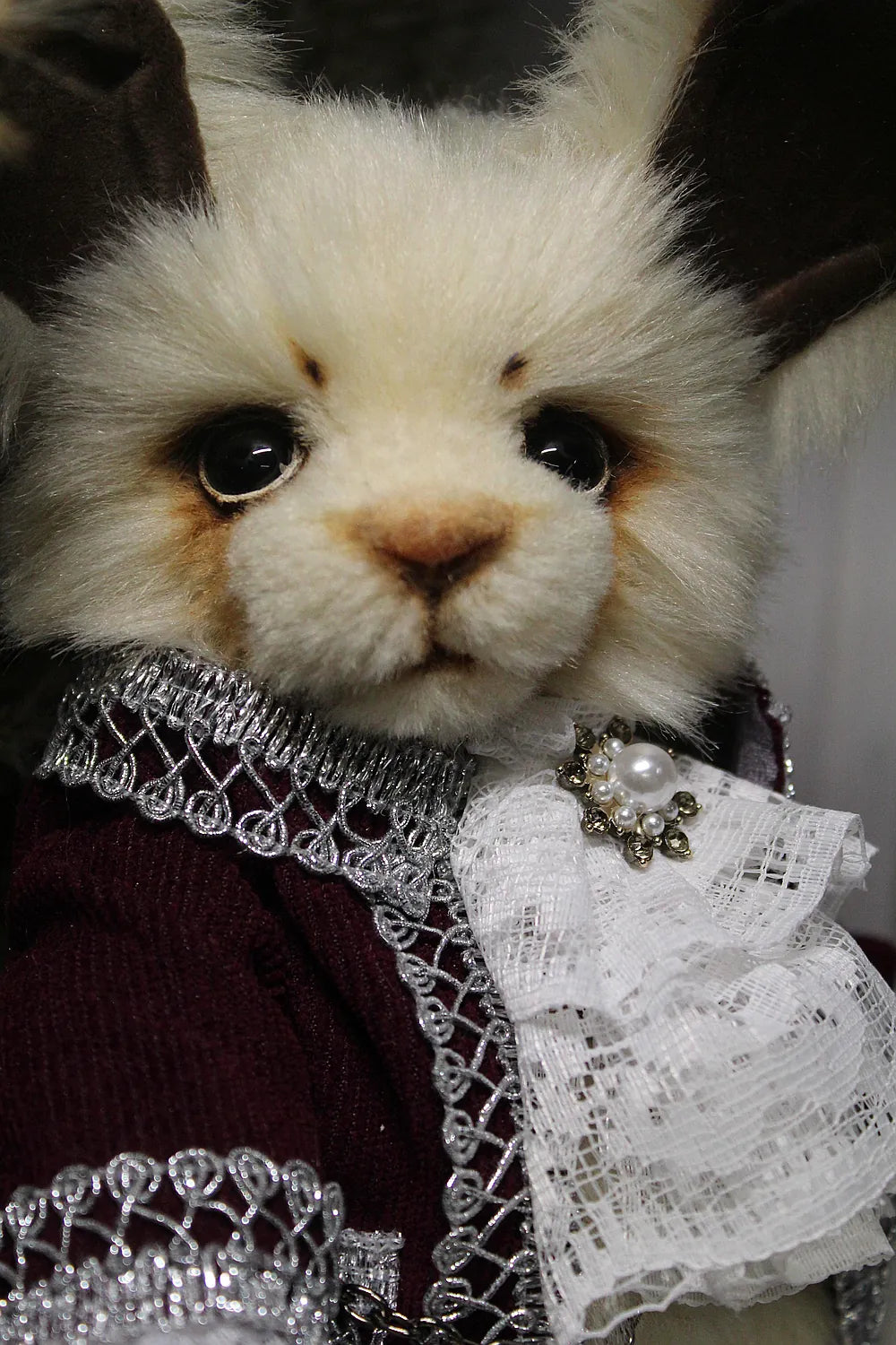 Robin 泰迪兔 - 图片6