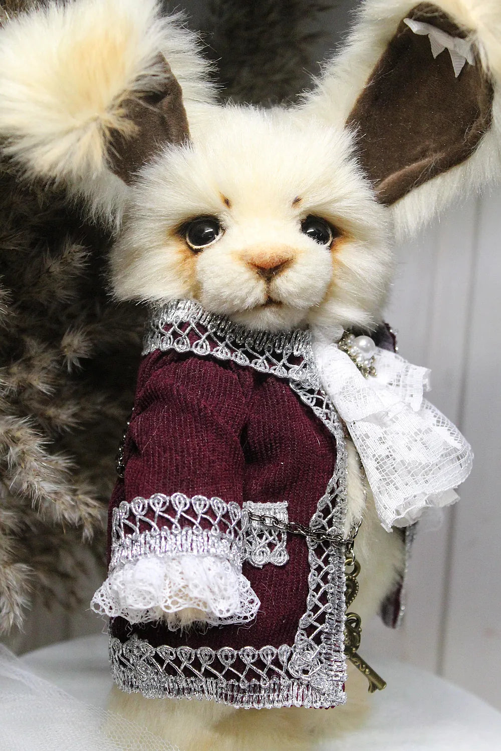 Robin 泰迪兔 - 图片8