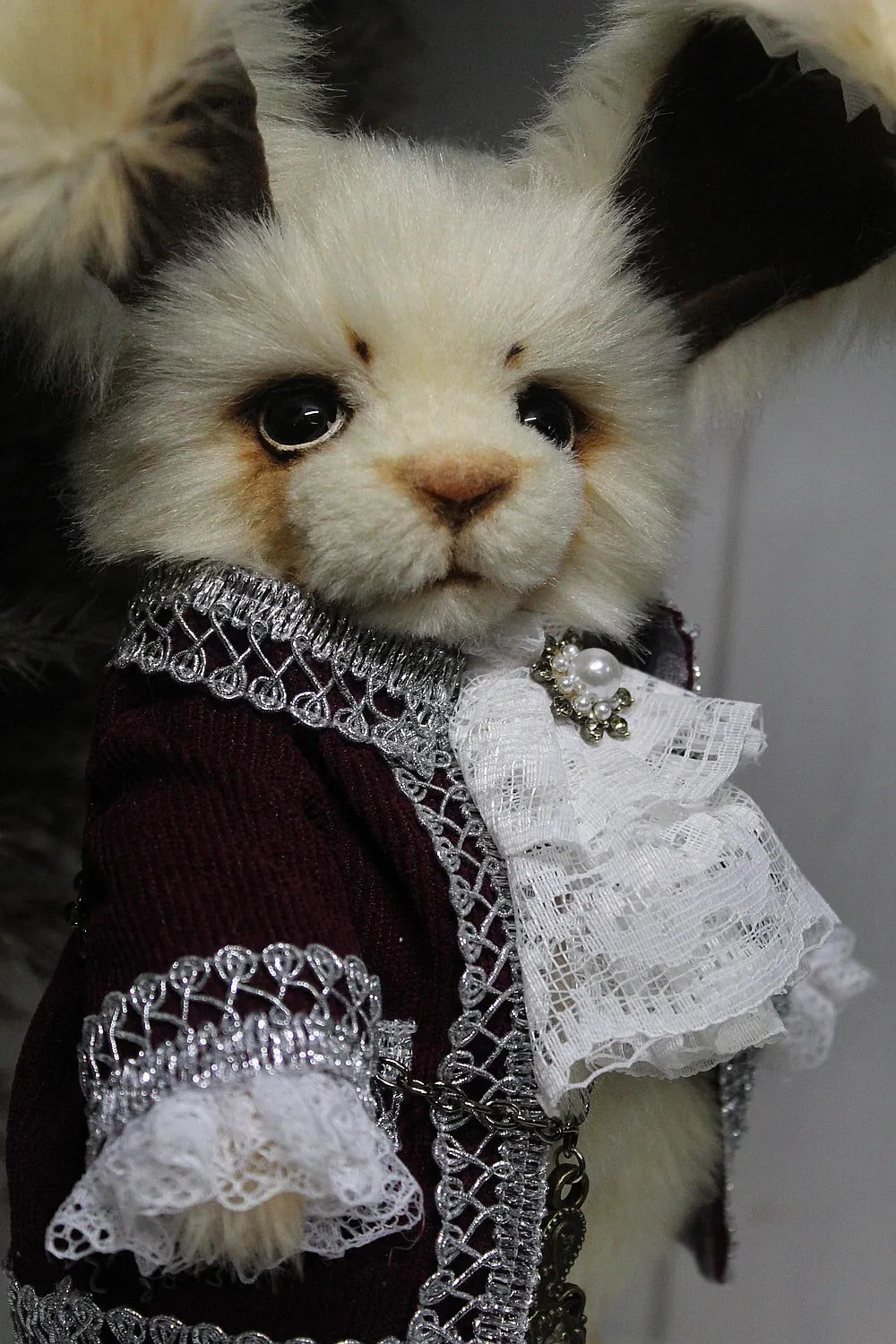 Robin 泰迪兔 - 图片3