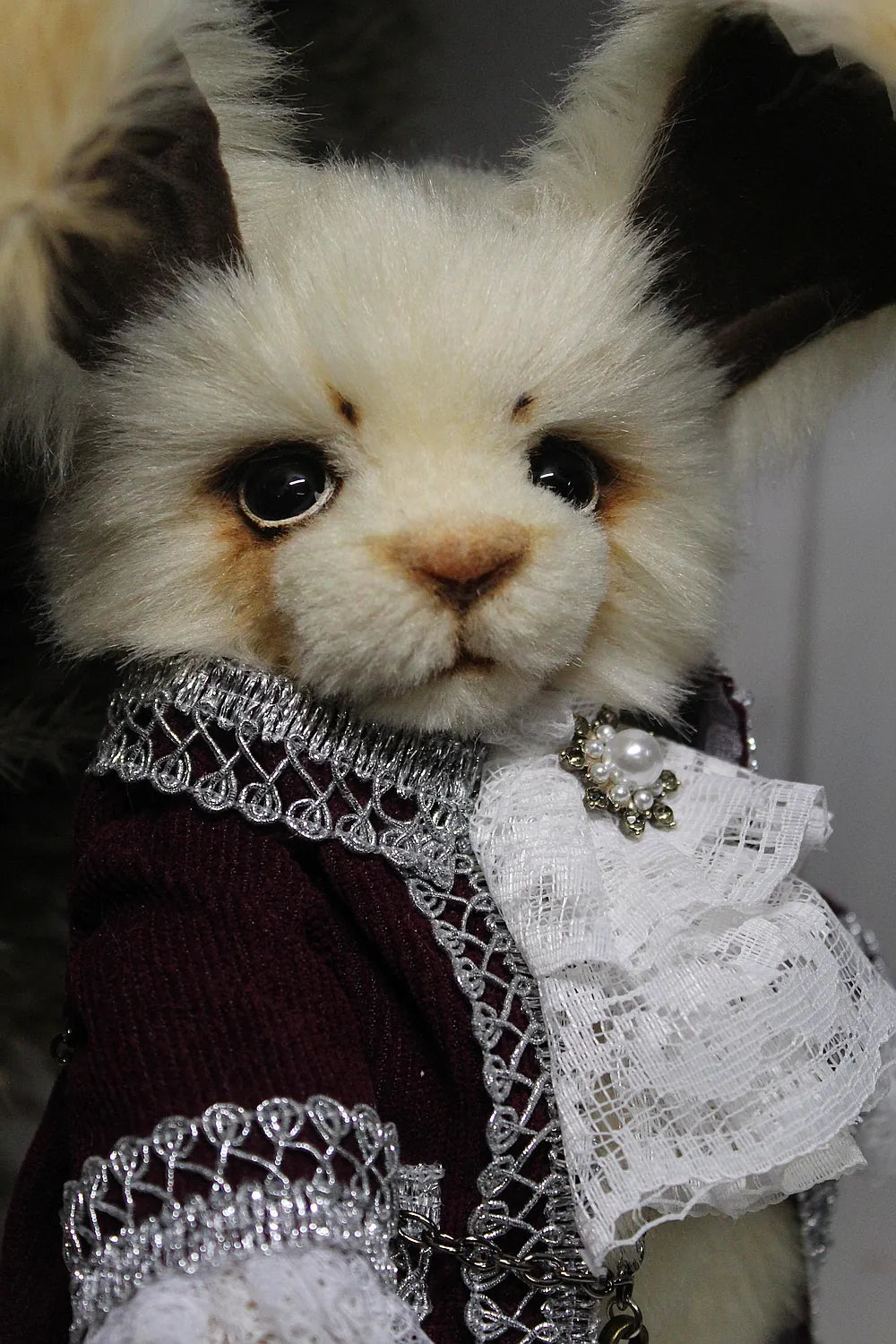 Robin 泰迪兔 - 图片4