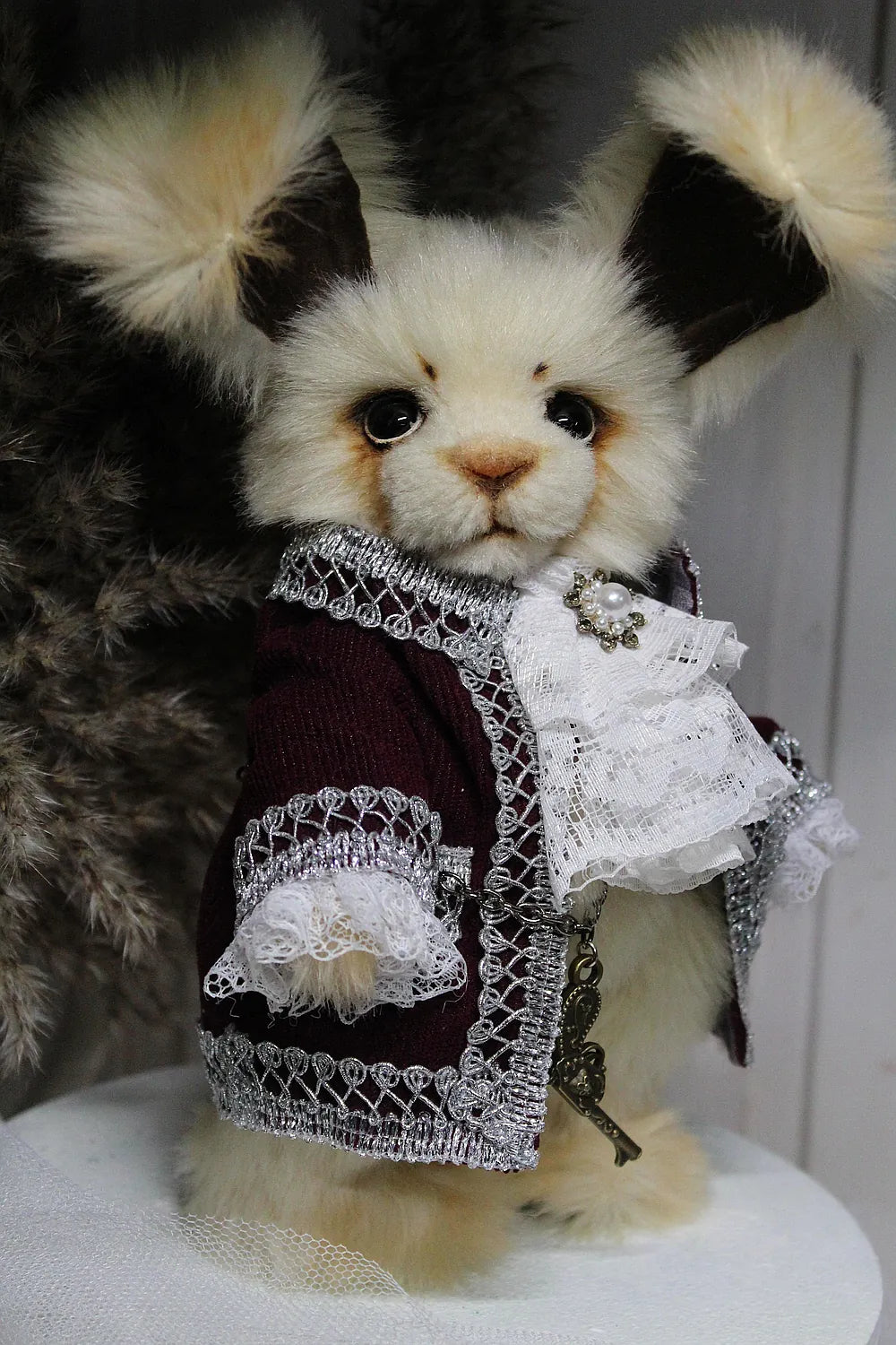 Robin 泰迪兔 - 图片2