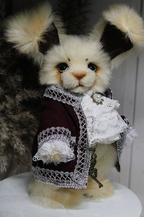 Robin 泰迪兔 - 图片2